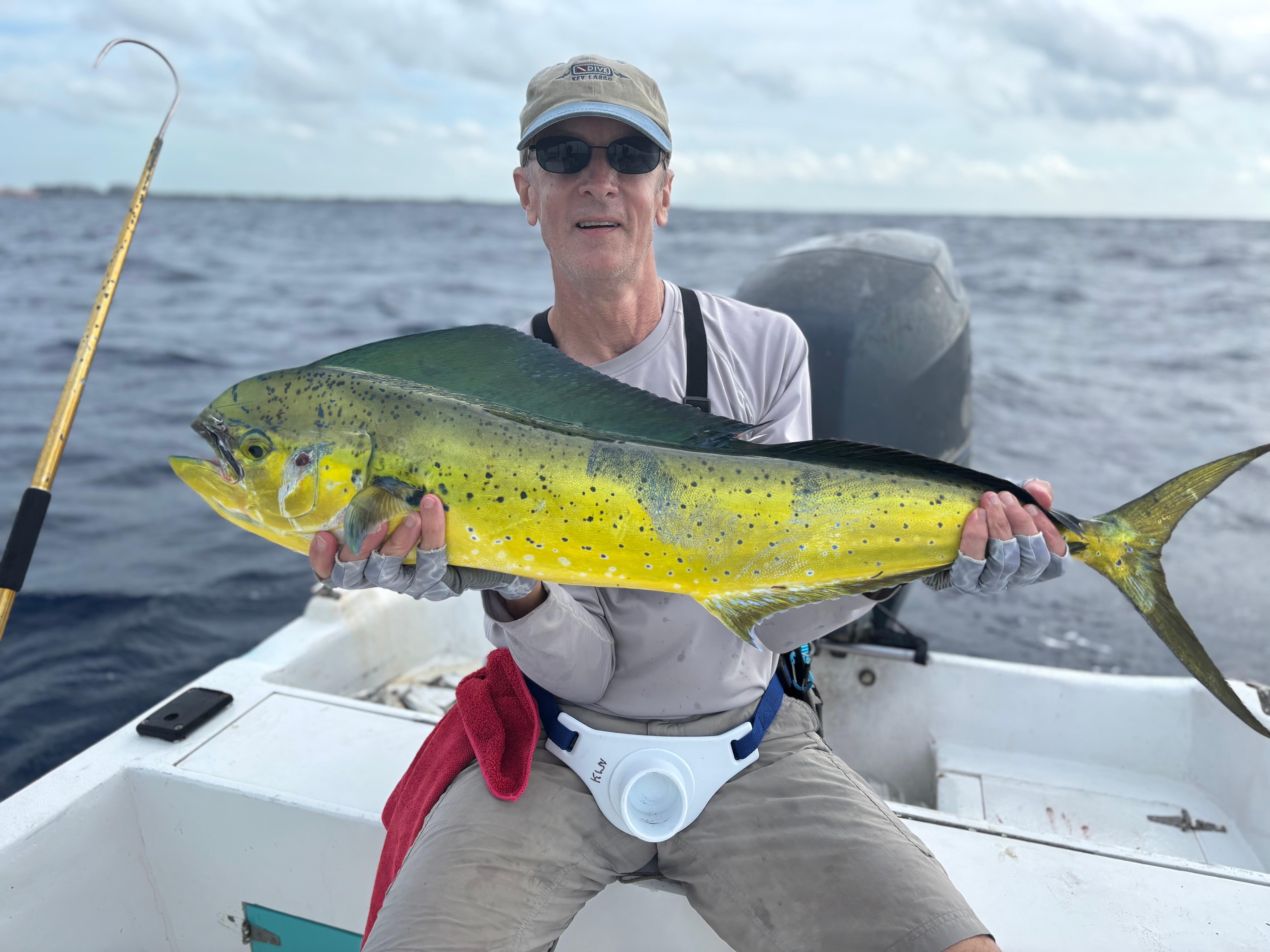 Mahi-mahi