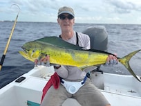 Mahi-mahi