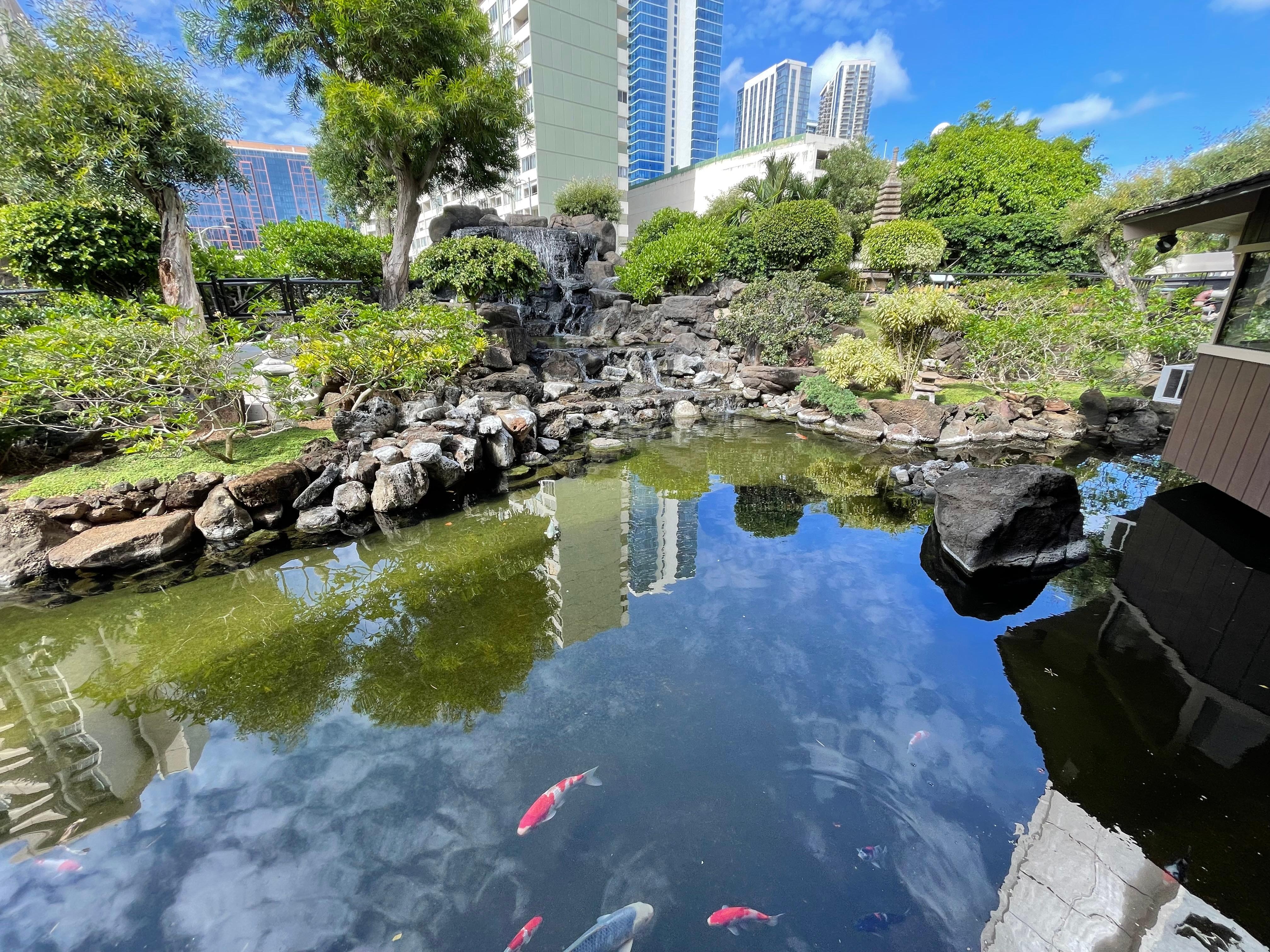Koi Pond