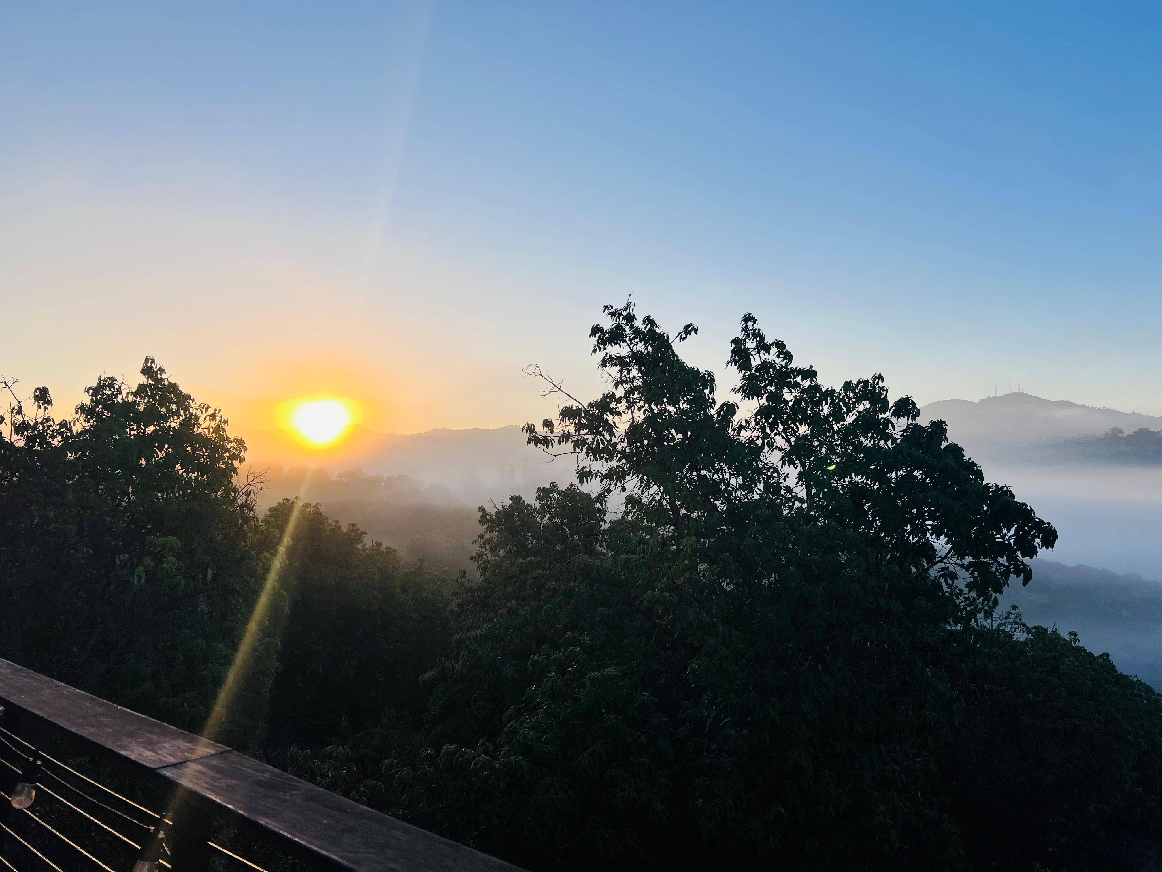 Sunrise