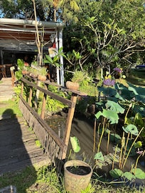 The garden