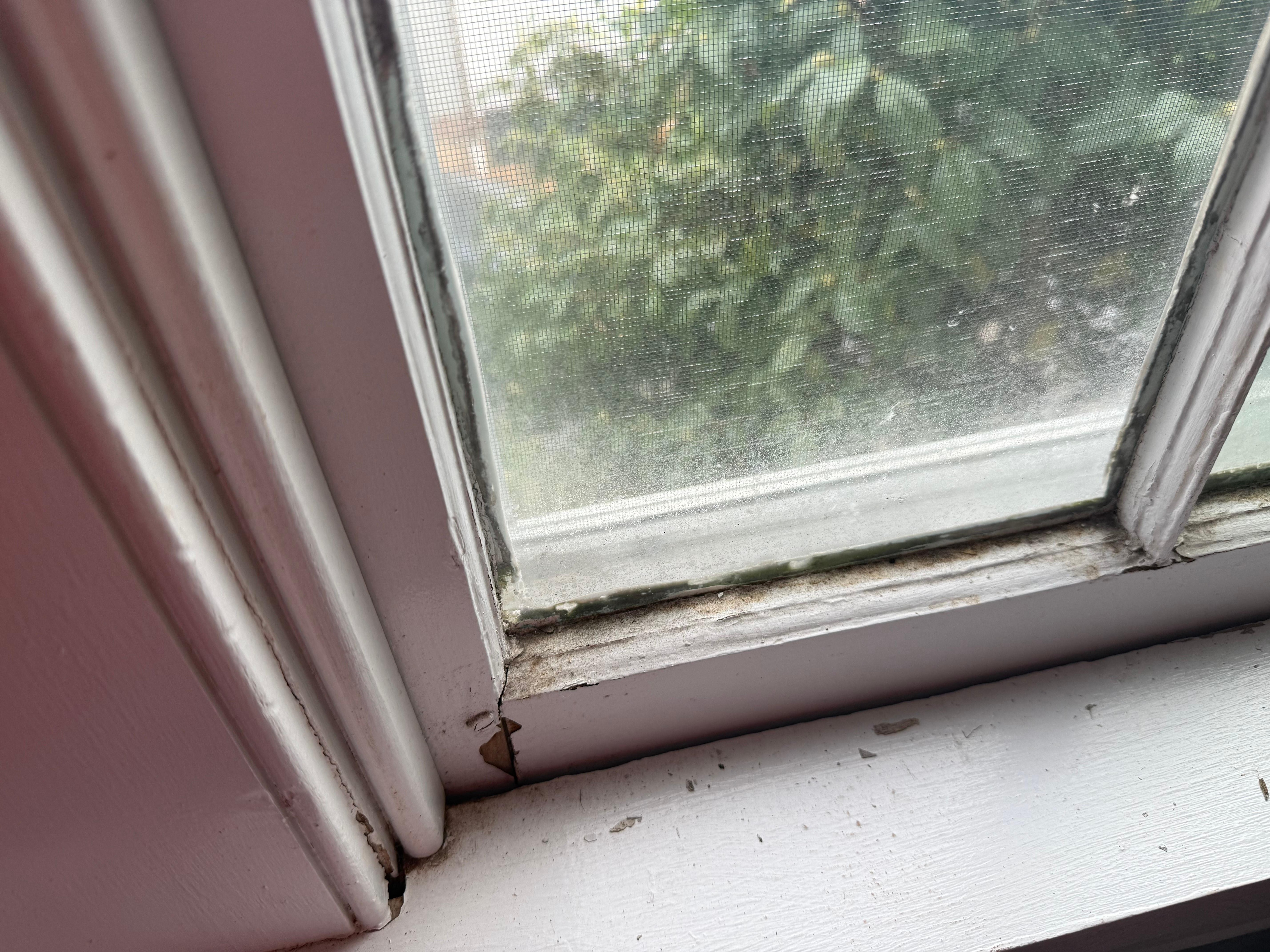 broken and cracked windows full of dirty and mold