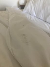 Black mark on bedding