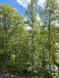 Beautiful view
