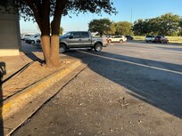 Bird droppings over all entry sidewalks