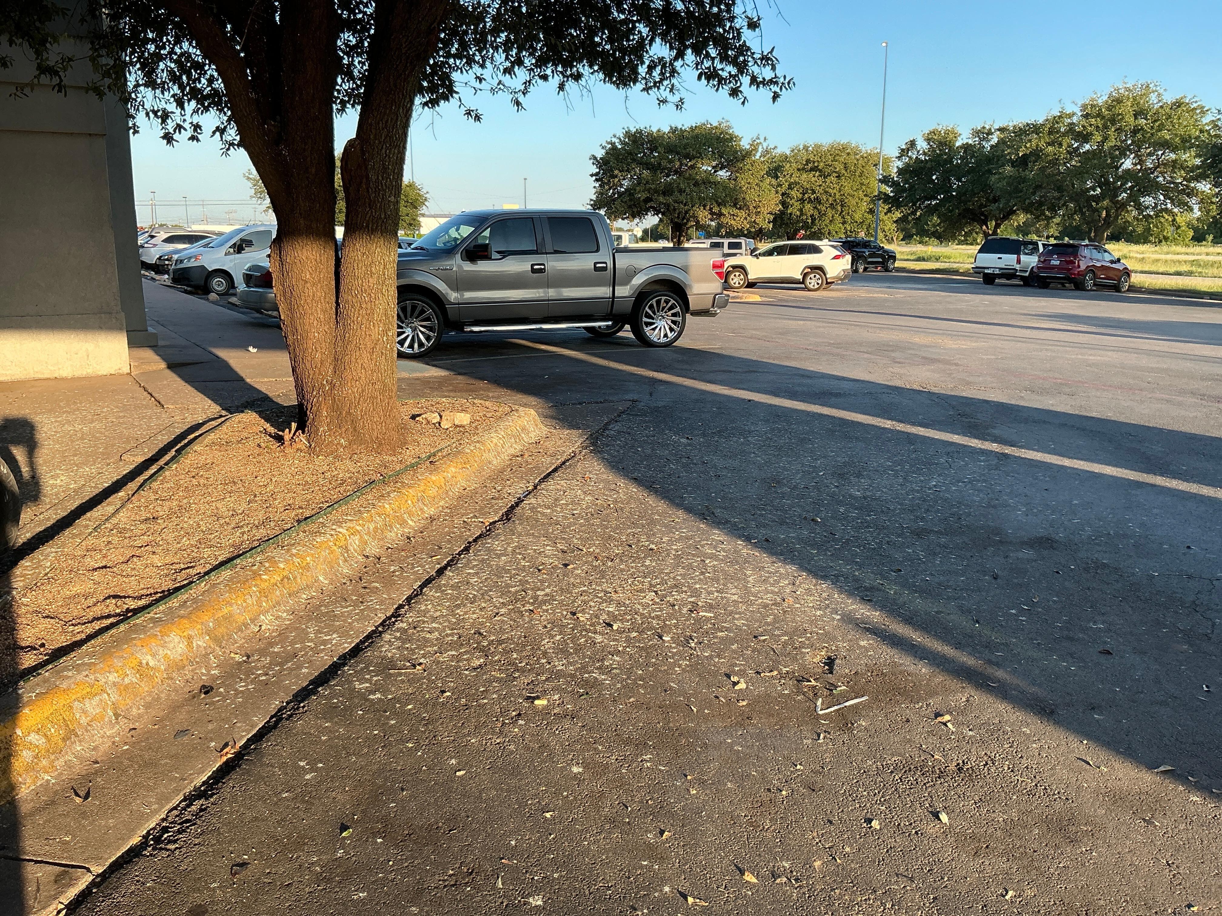 Bird droppings over all entry sidewalks