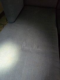 Couch stained