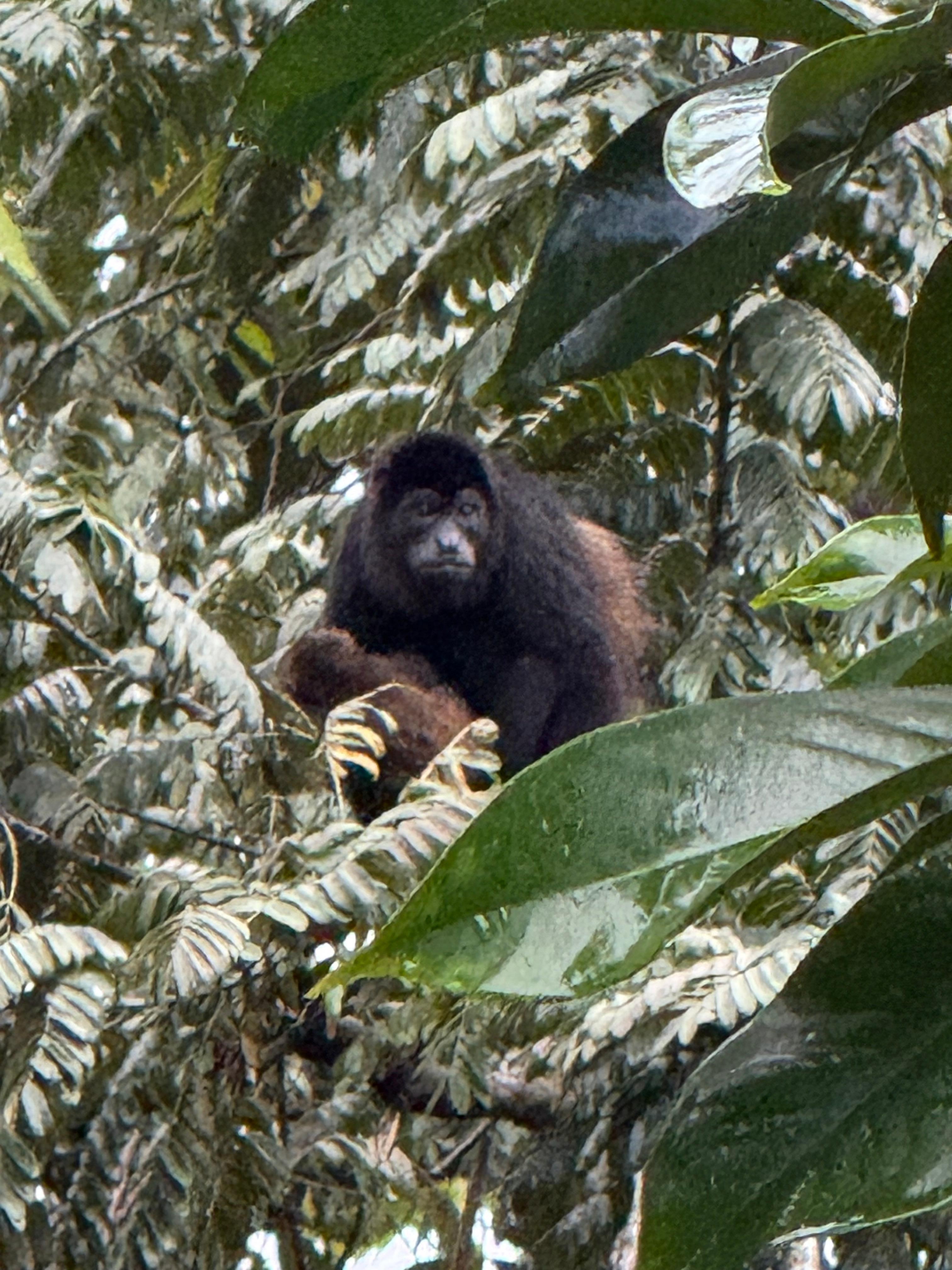 It was fun to watch the whole family!