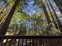The view you get enjoying your morning coffee on the deck <3