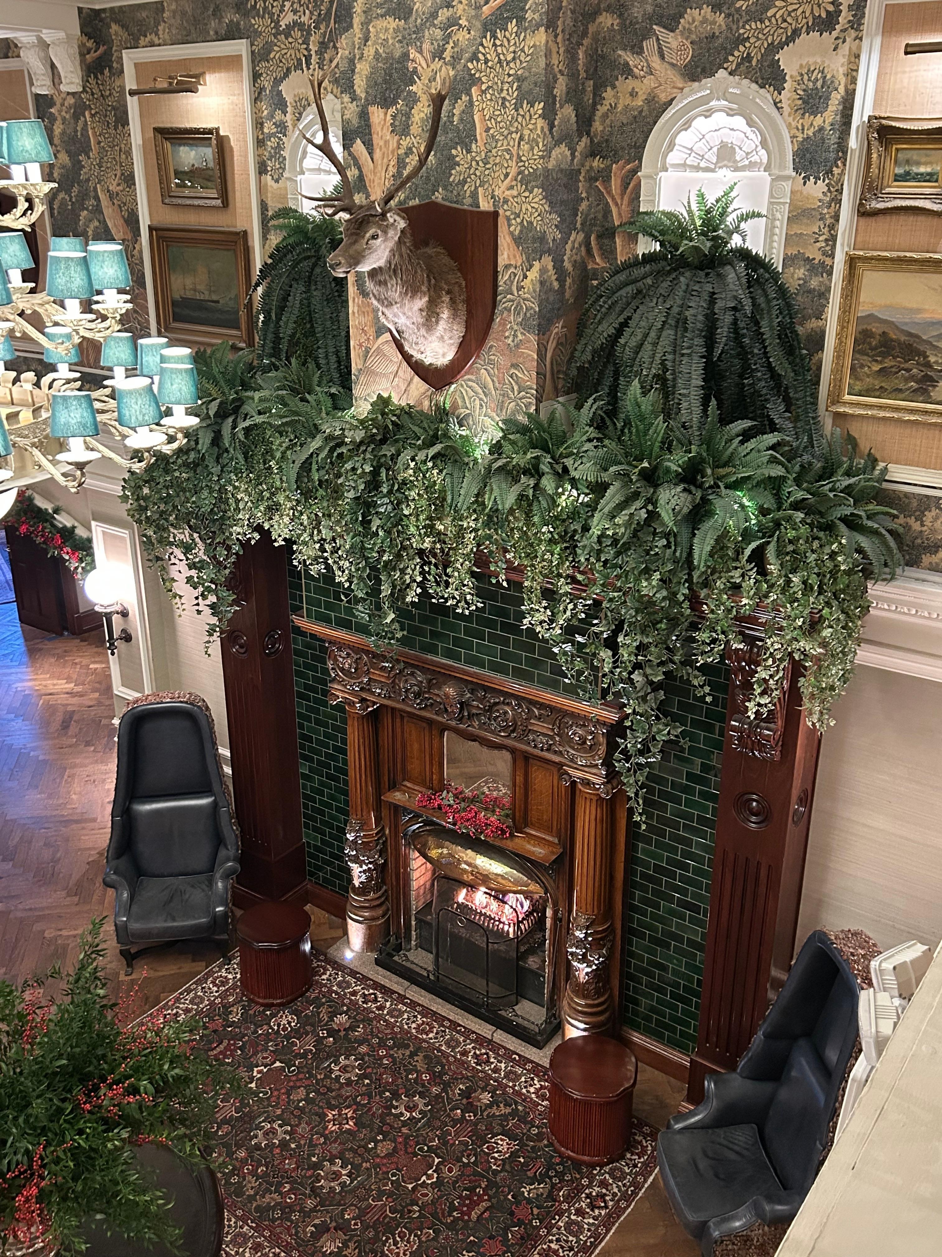 Beautiful fire and surround 