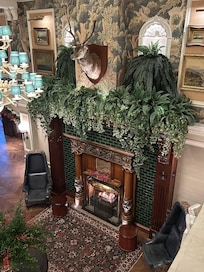 Beautiful fire and surround