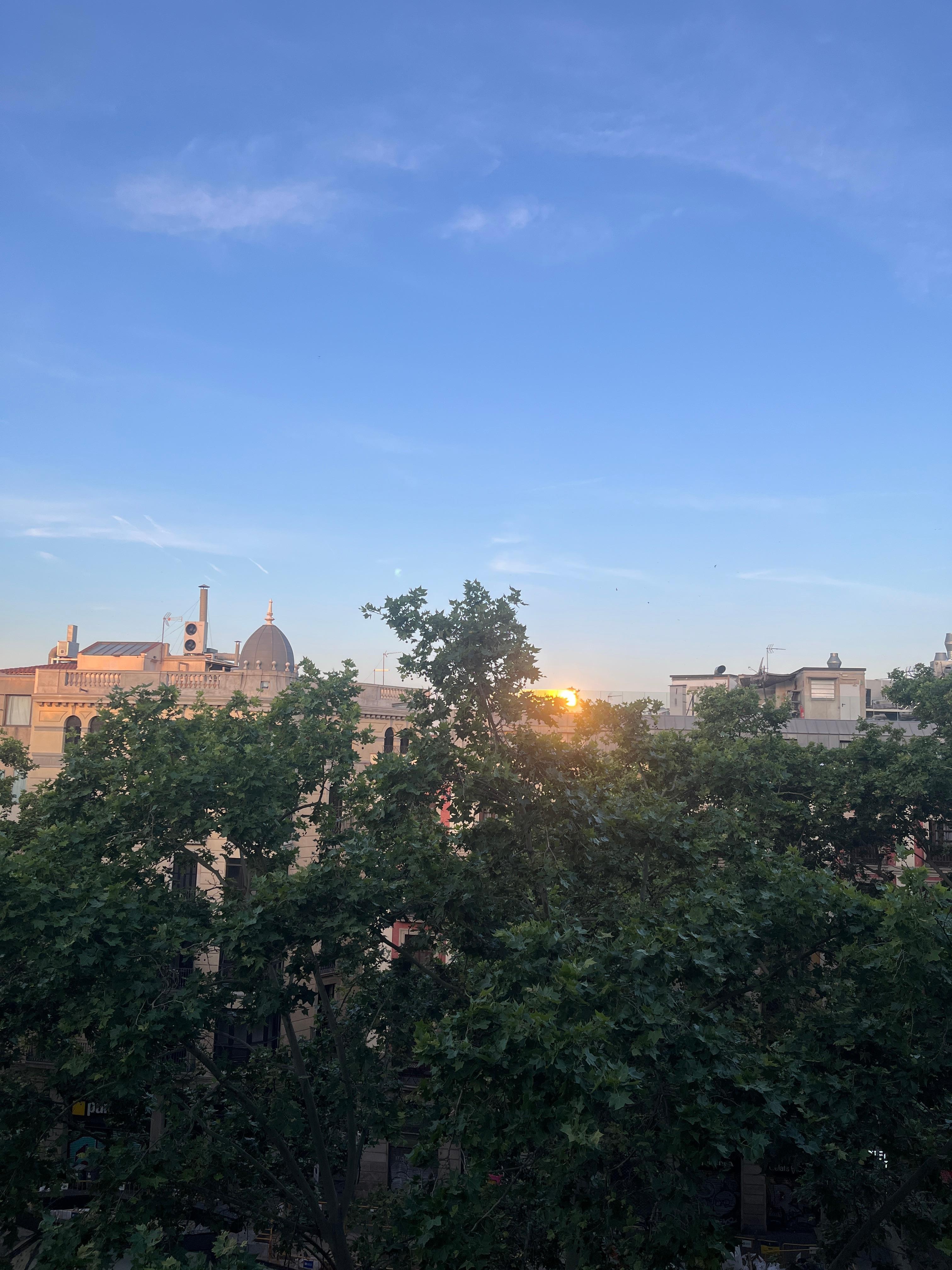 バルコニーから