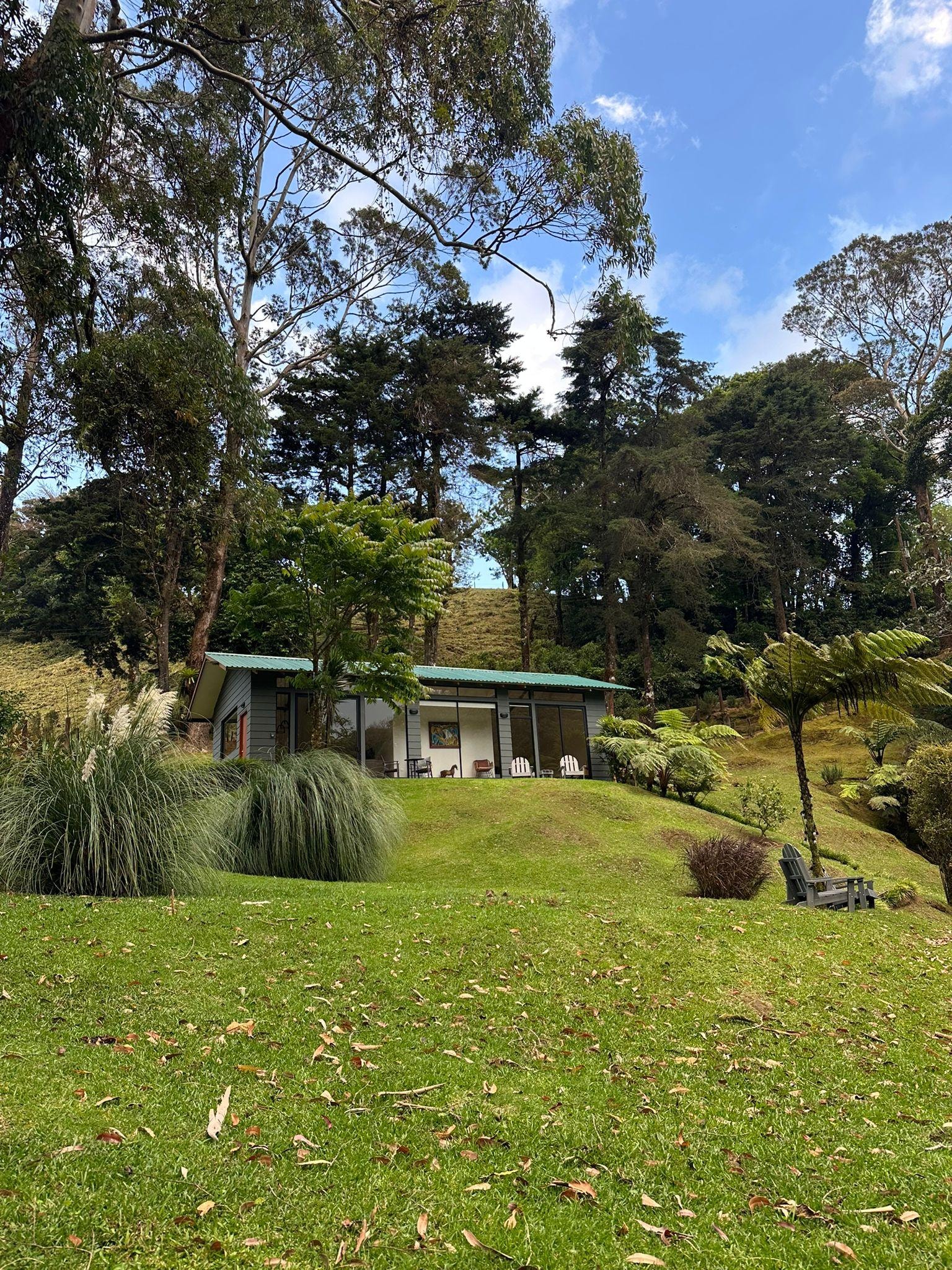 View from the garden