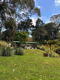 View from the garden