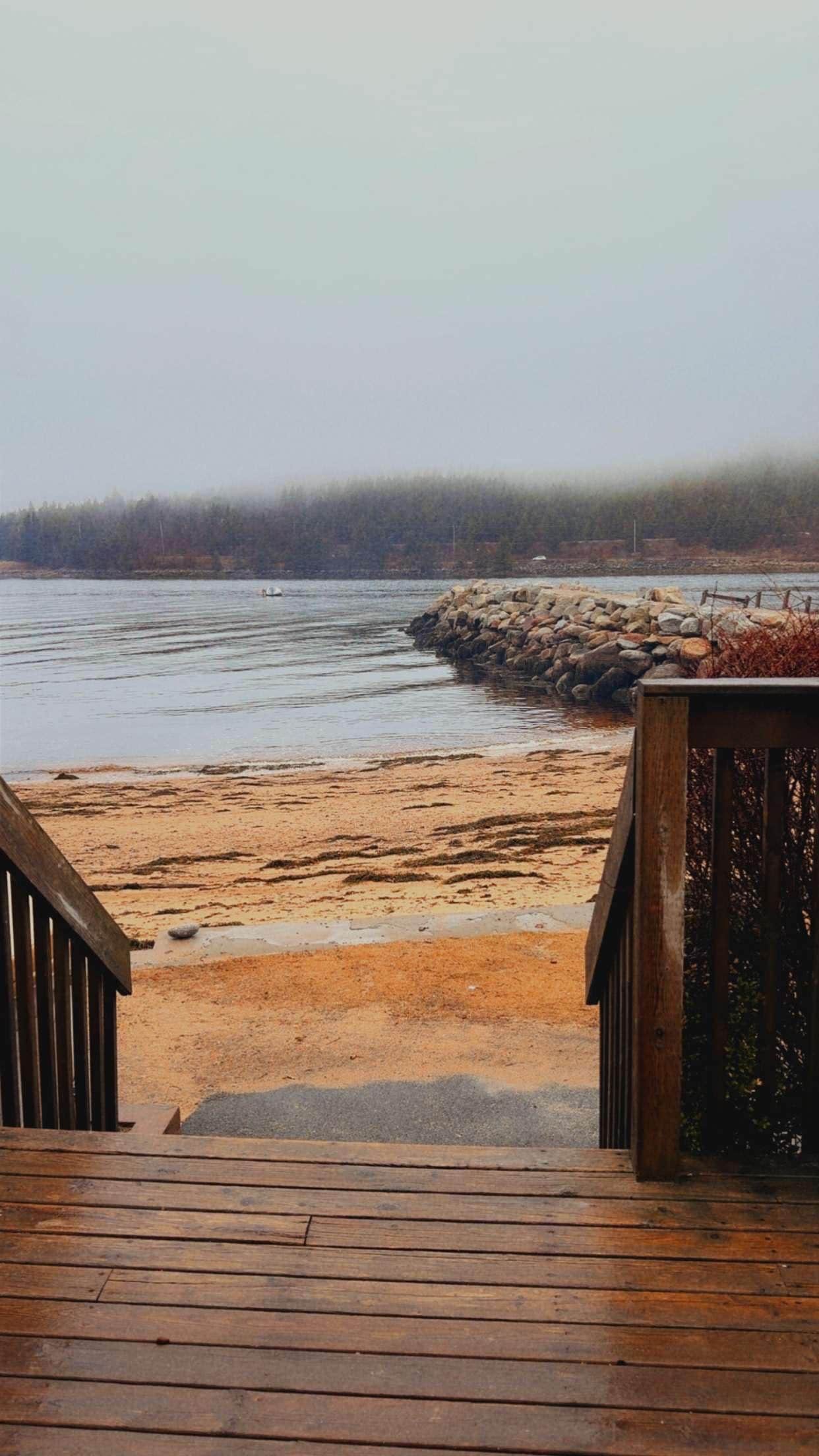 The view from the front door at cabin #5