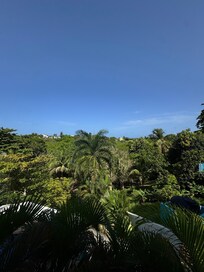 View from back balcony