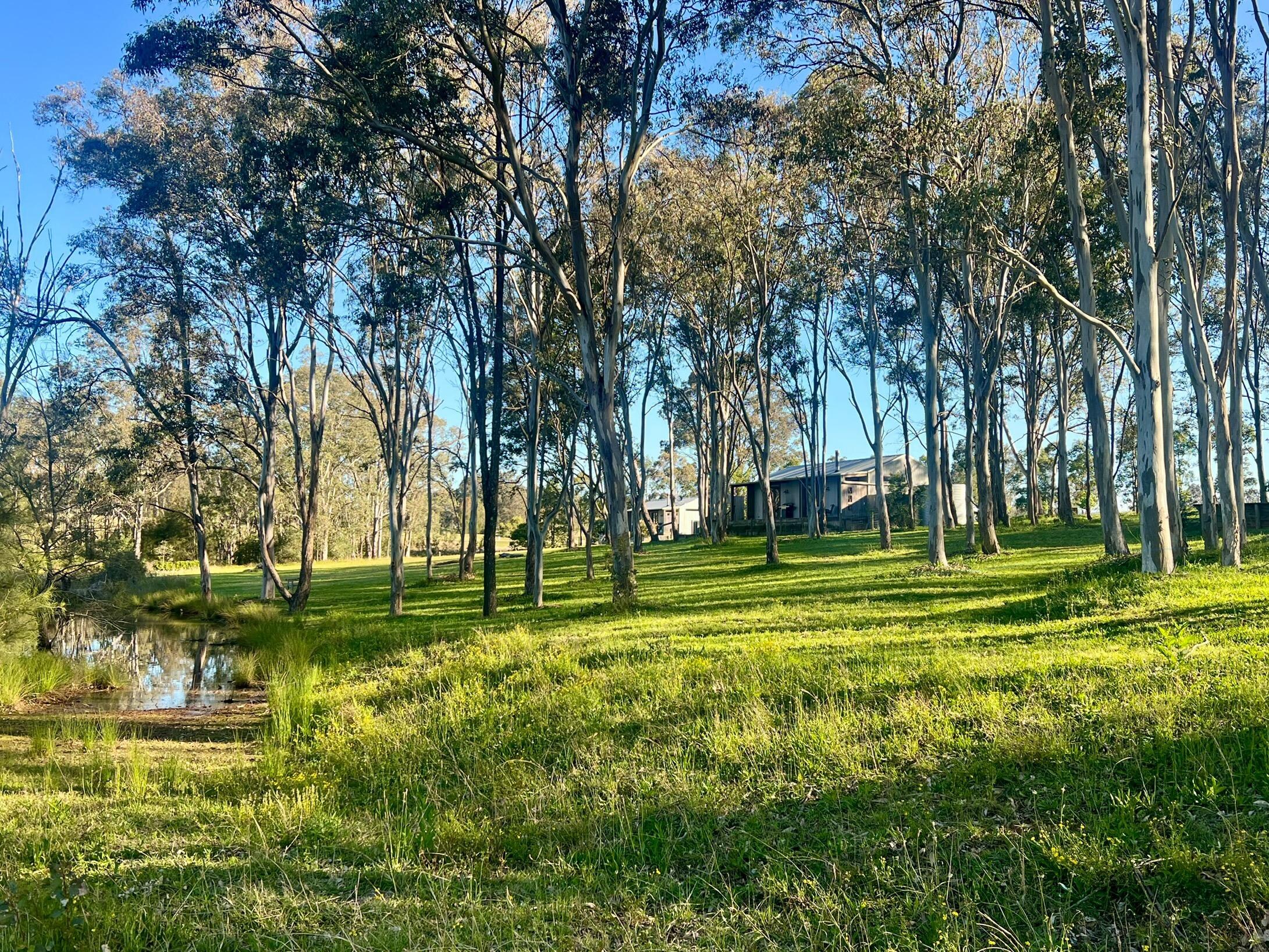 TREE TOPS VILA ON PROPERTY