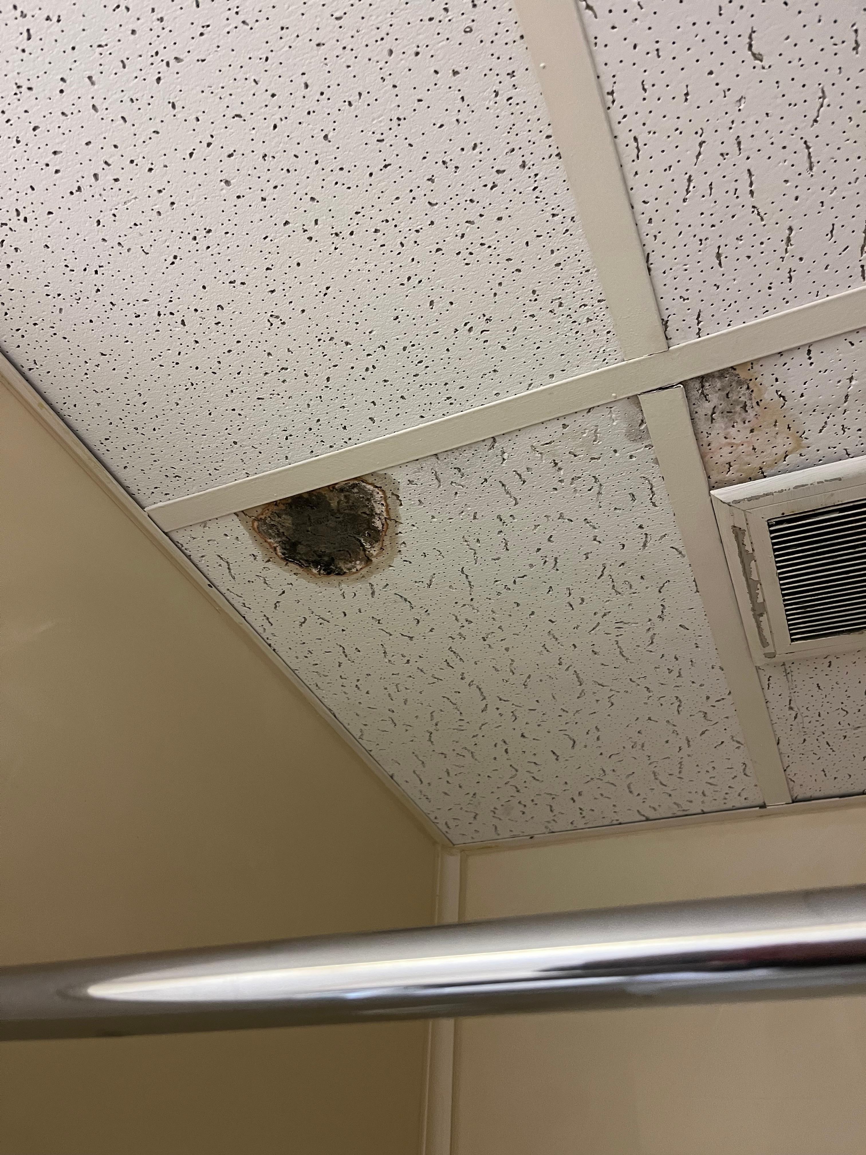 Black mold in bathroom.