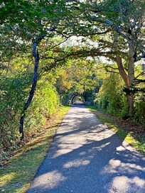 Cape Cod Rail Trail