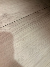 Toenail on the bathroom floor.