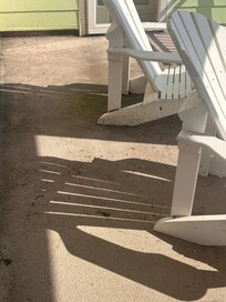 Patio covered in dirt and dead bugs