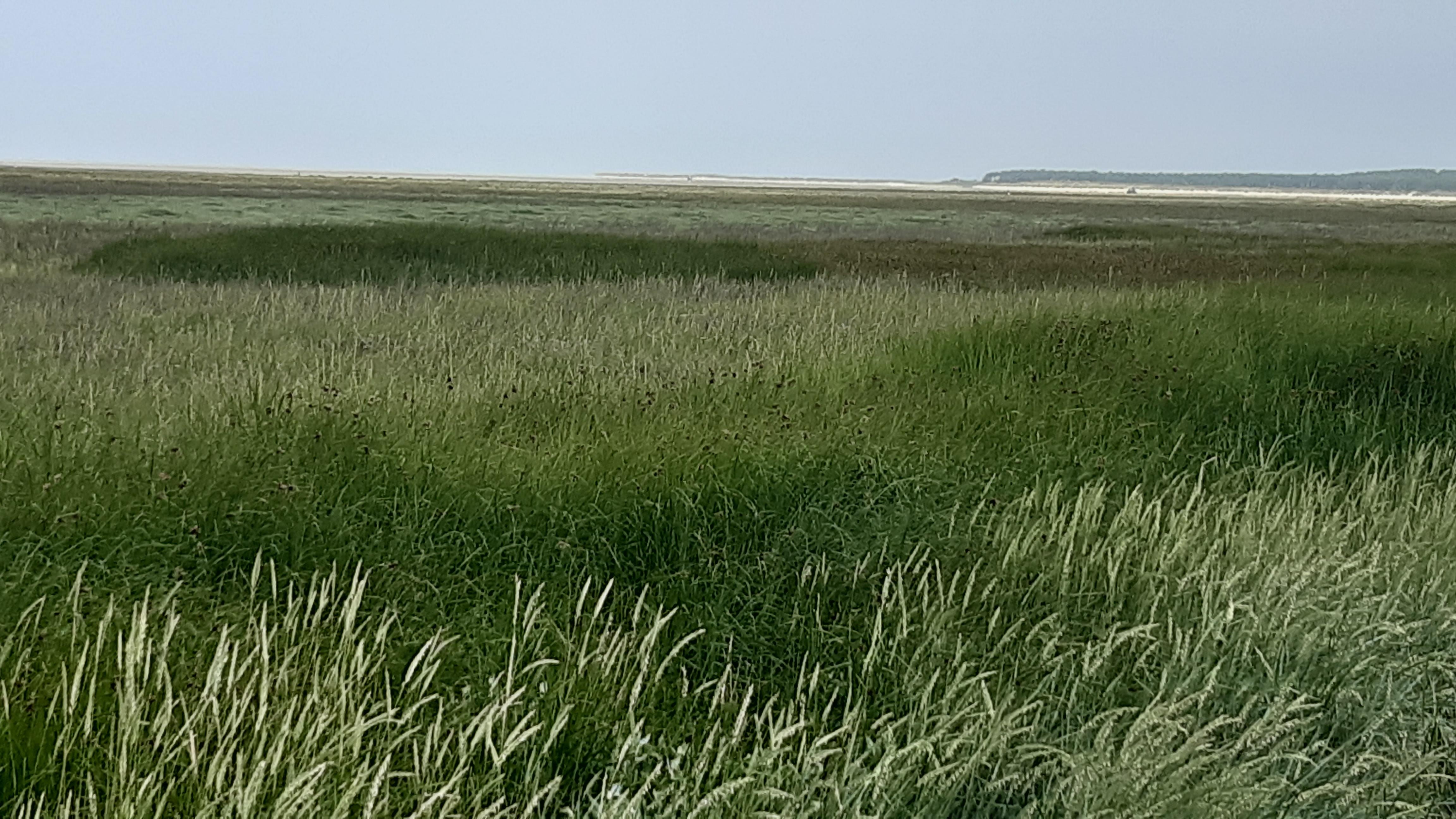 Sur la plage du Crotoy