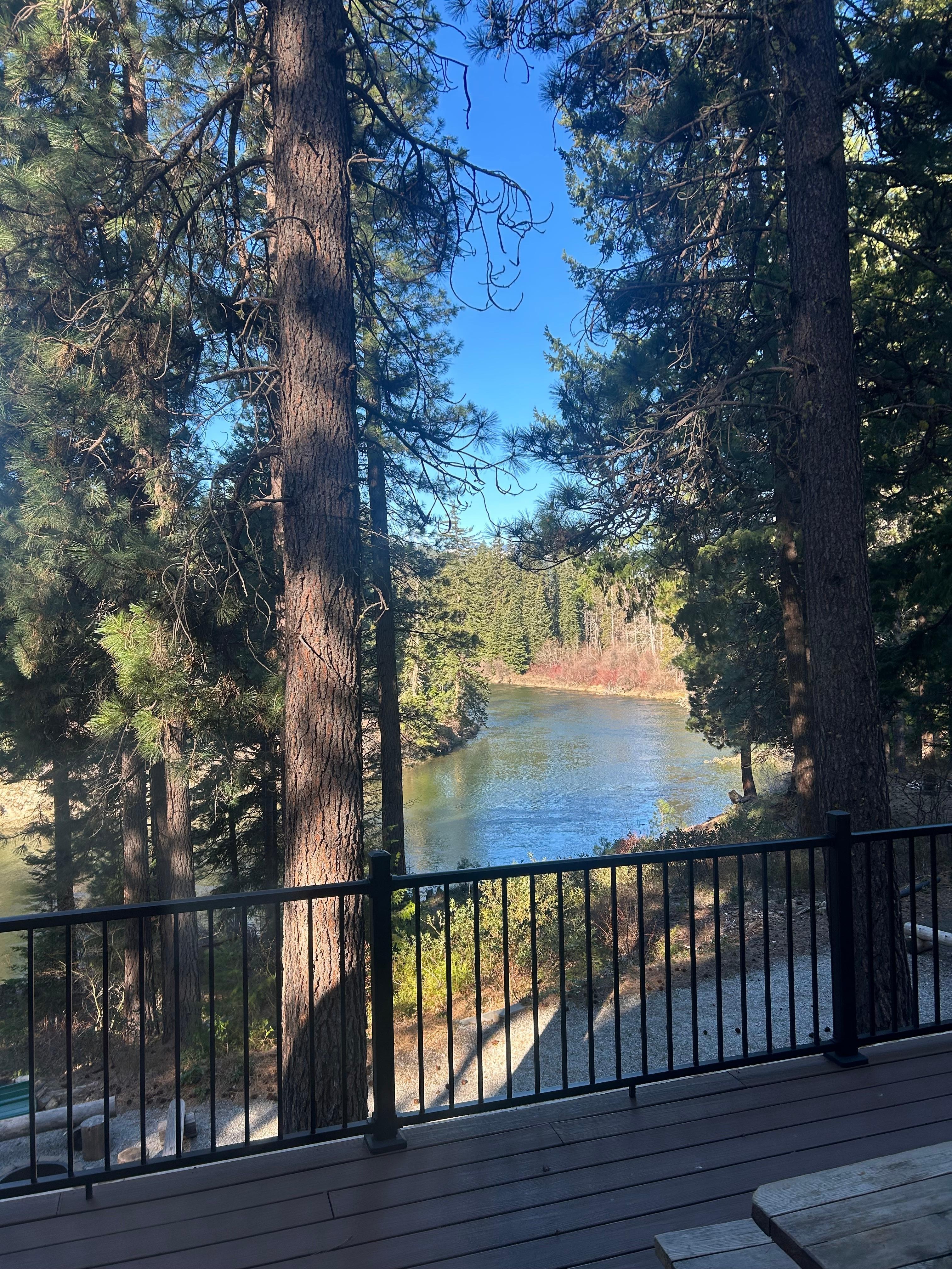 Front porch with black rod iron enclosure with locking gates for the pups to enjoy