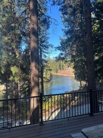 Front porch with black rod iron enclosure with locking gates for the pups to enjoy