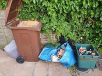Rubbish in the garden. Not collected within twelve days!