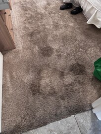 Stains