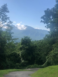 Beautiful view from driveway