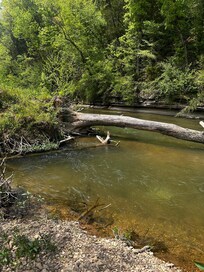Creekside