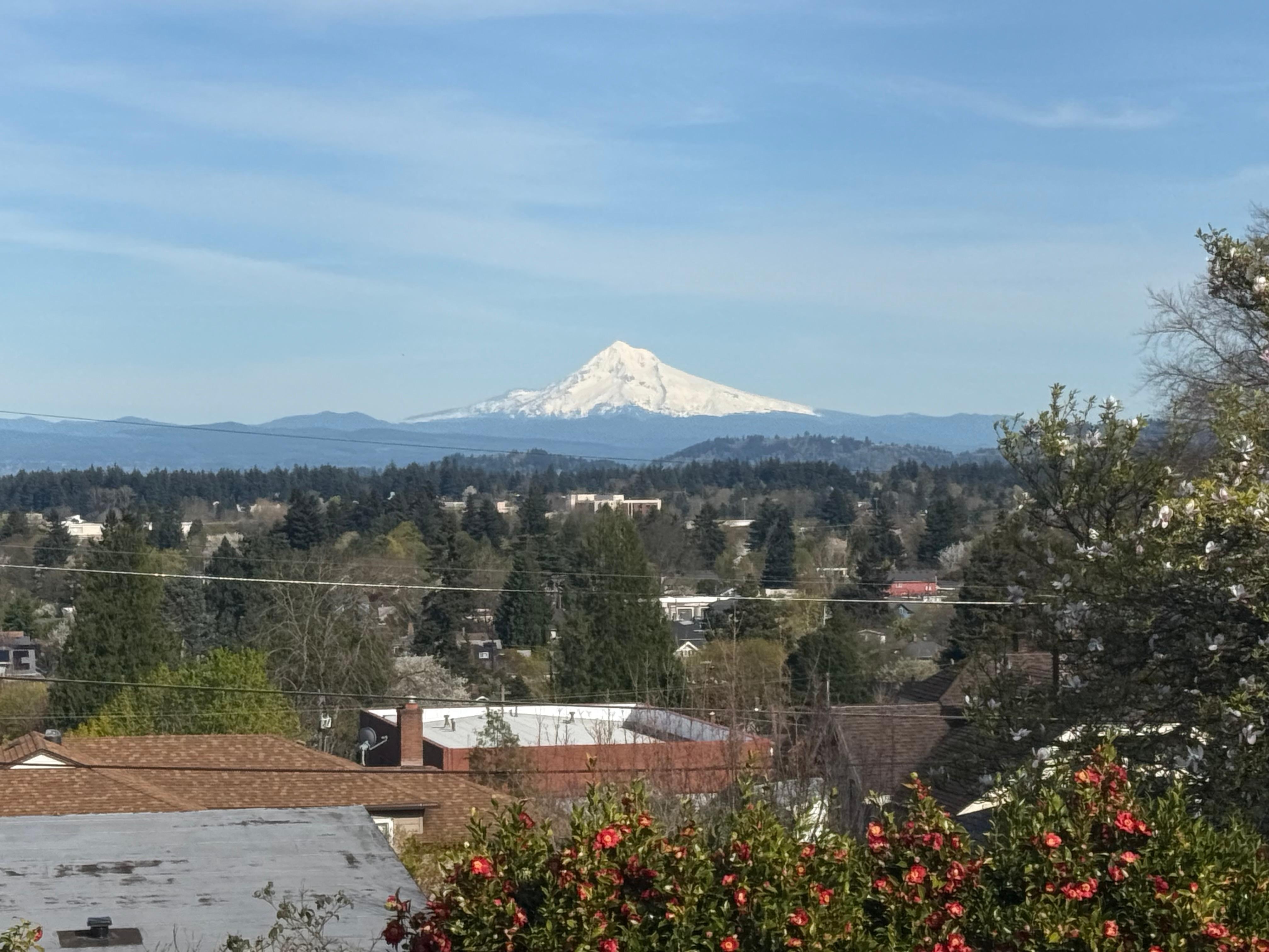 From top floor of home.