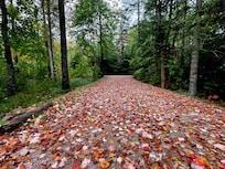 Even the drive in to the property is pretty