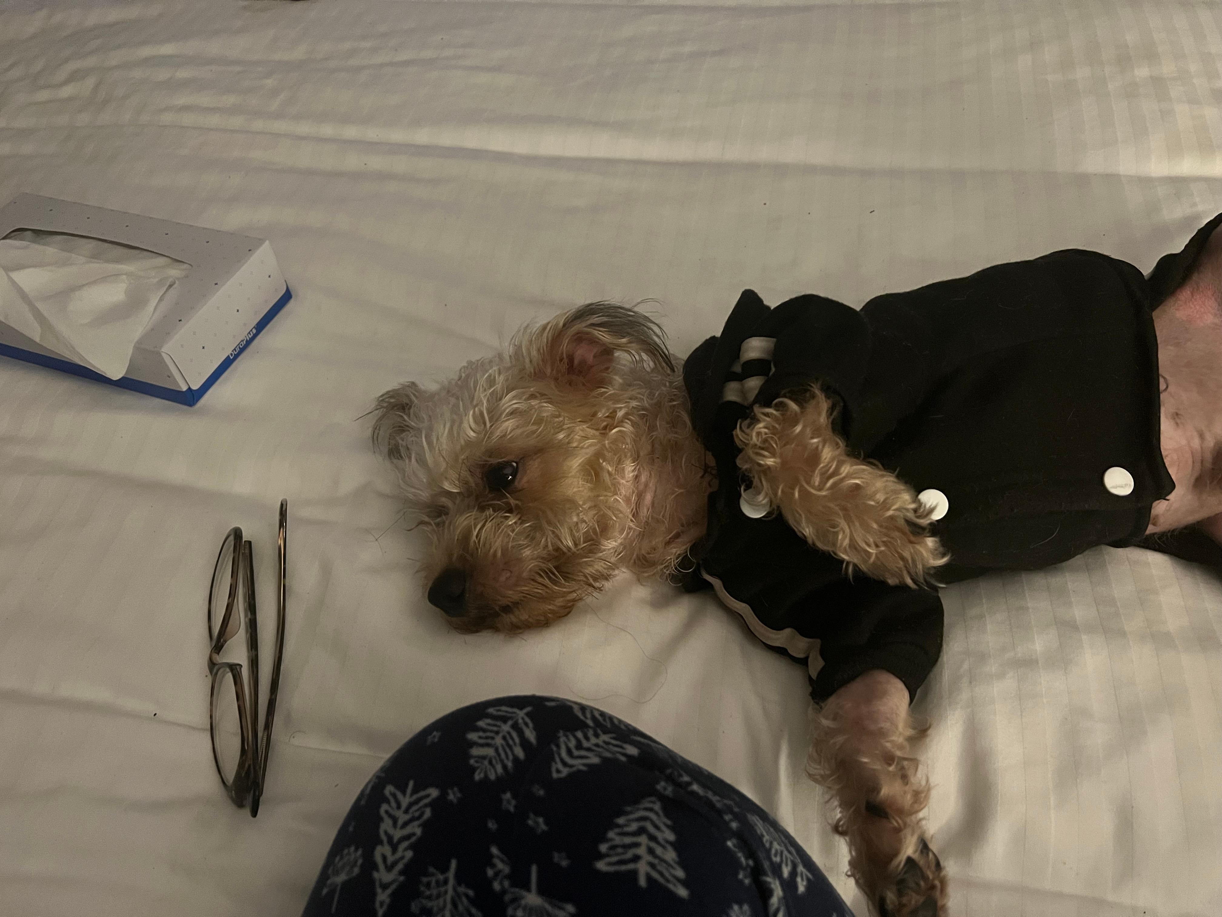 Our precious boy even enjoyed his time away from the cats lol 