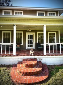 Frankie enjoying the birds passing by.