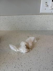 Backsplash in kitchen