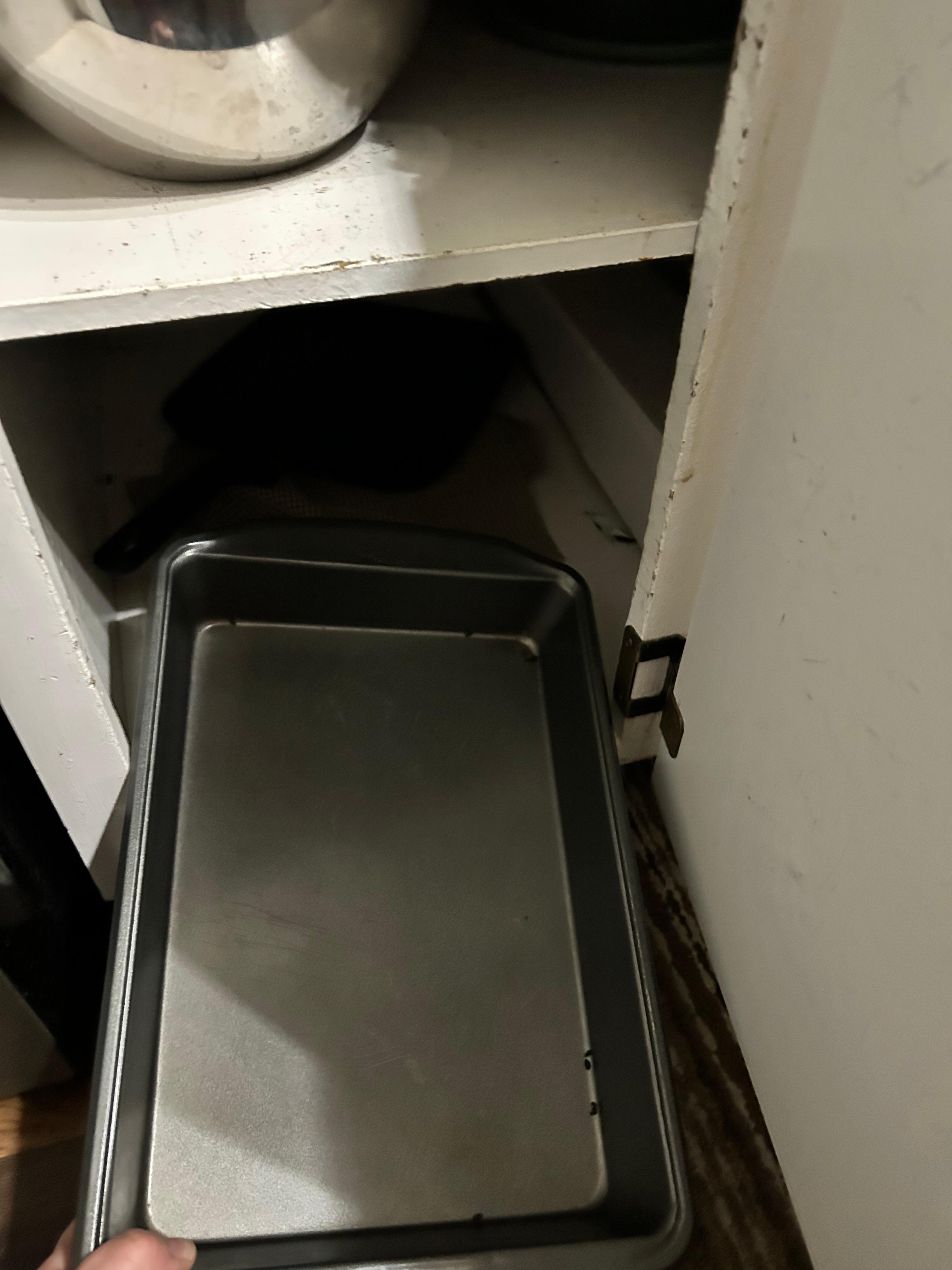 Mouse dropping in kitchen pan.