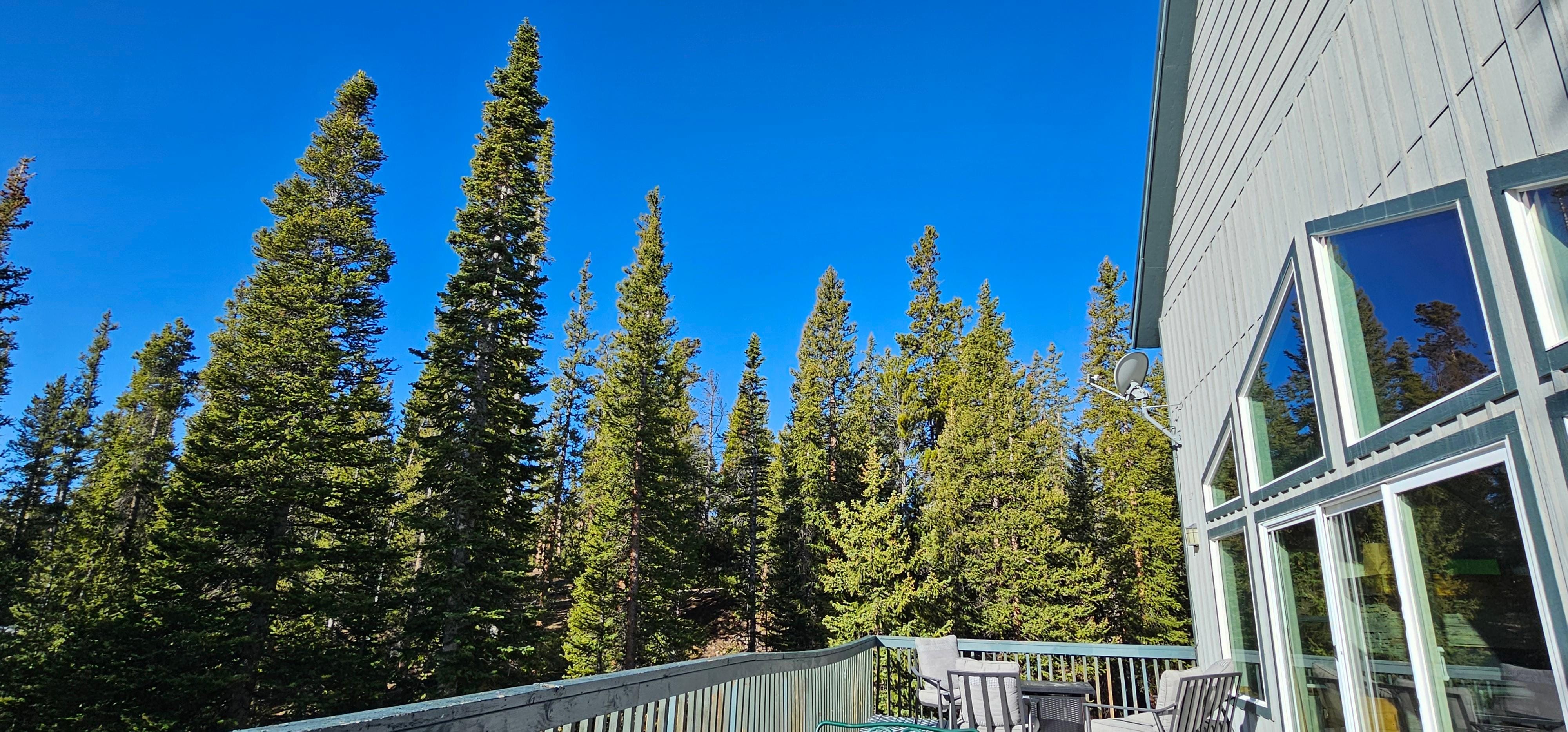Chilling on the deck