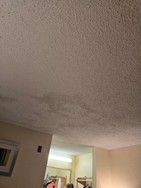 Mold on ceiling