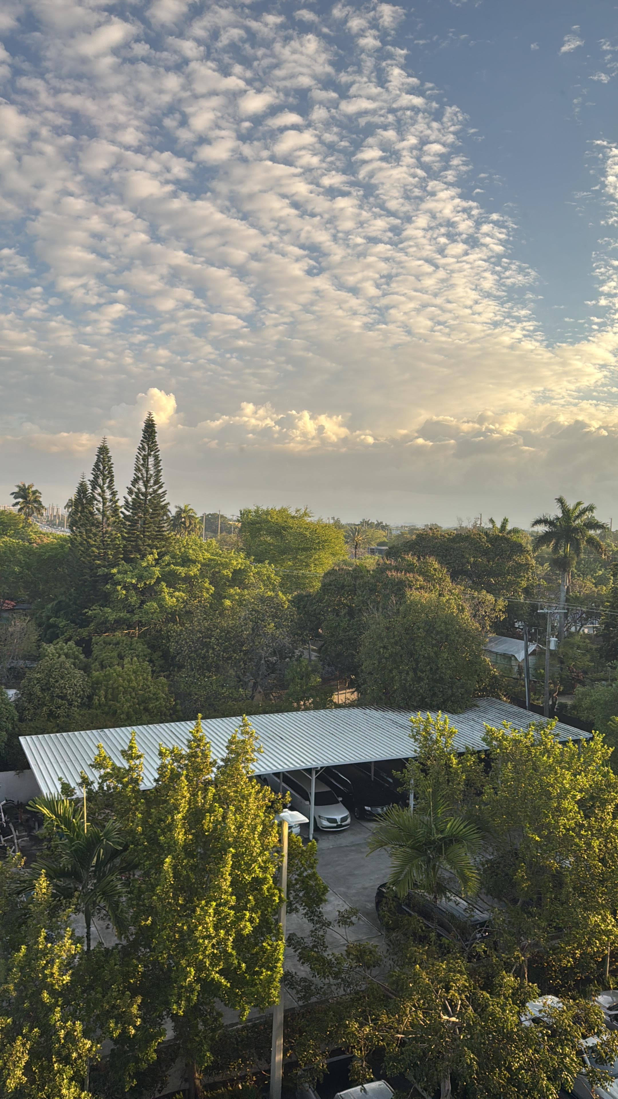la vista de la habitación 