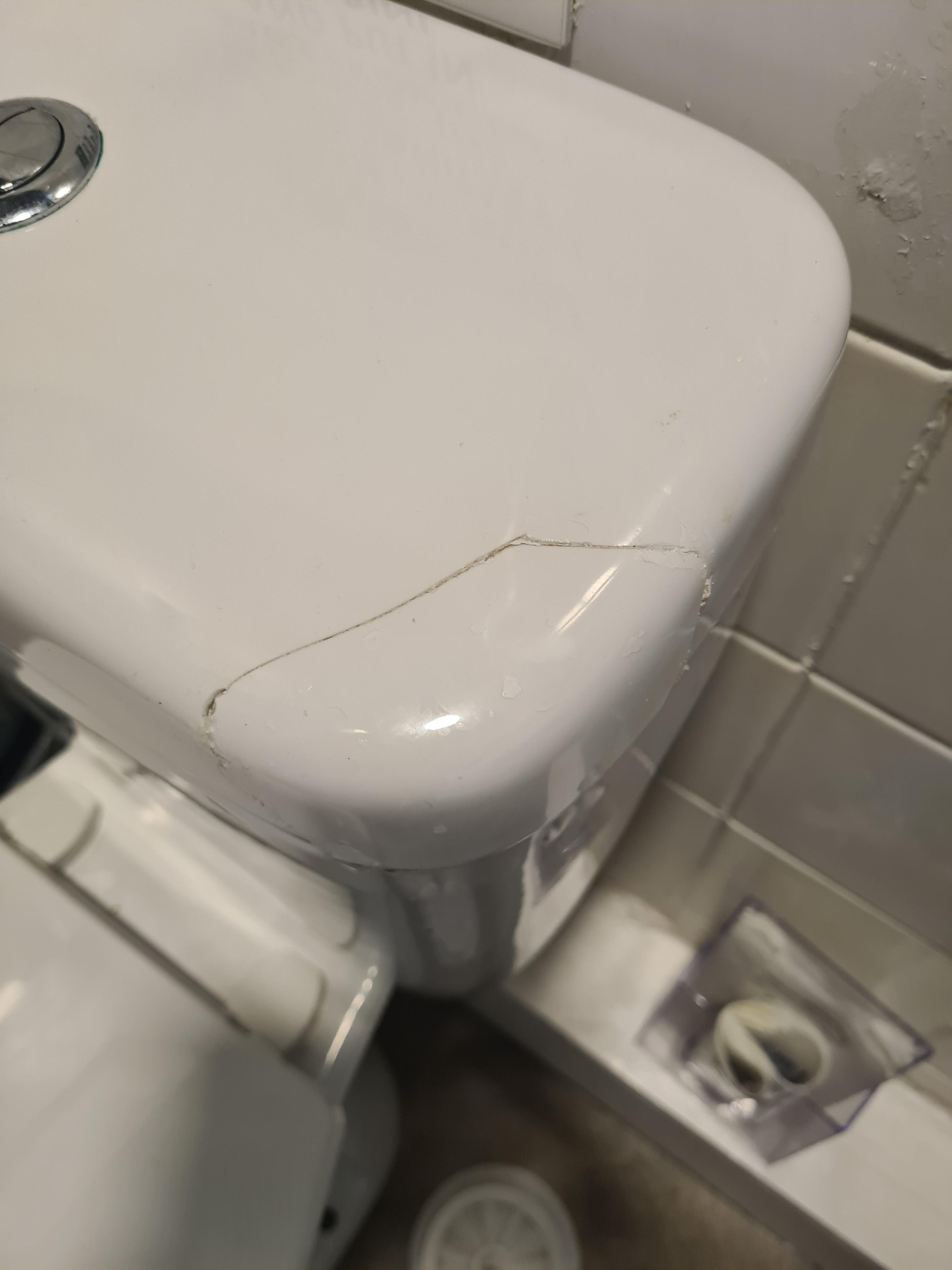 Cracked toilet