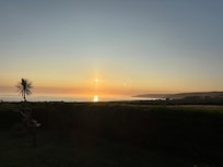 View from the garden