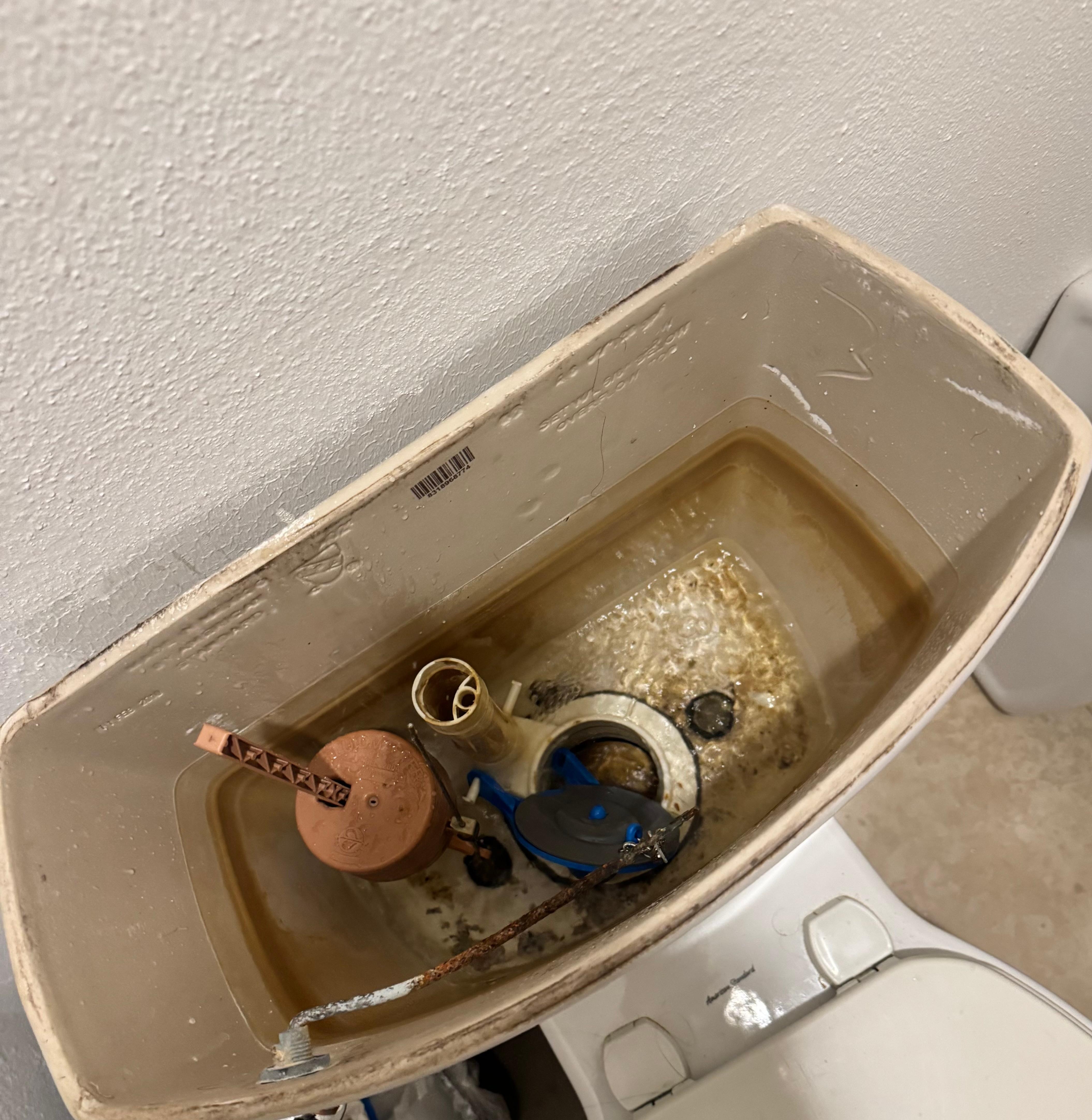 Sanitario viejo y descompuesto. 