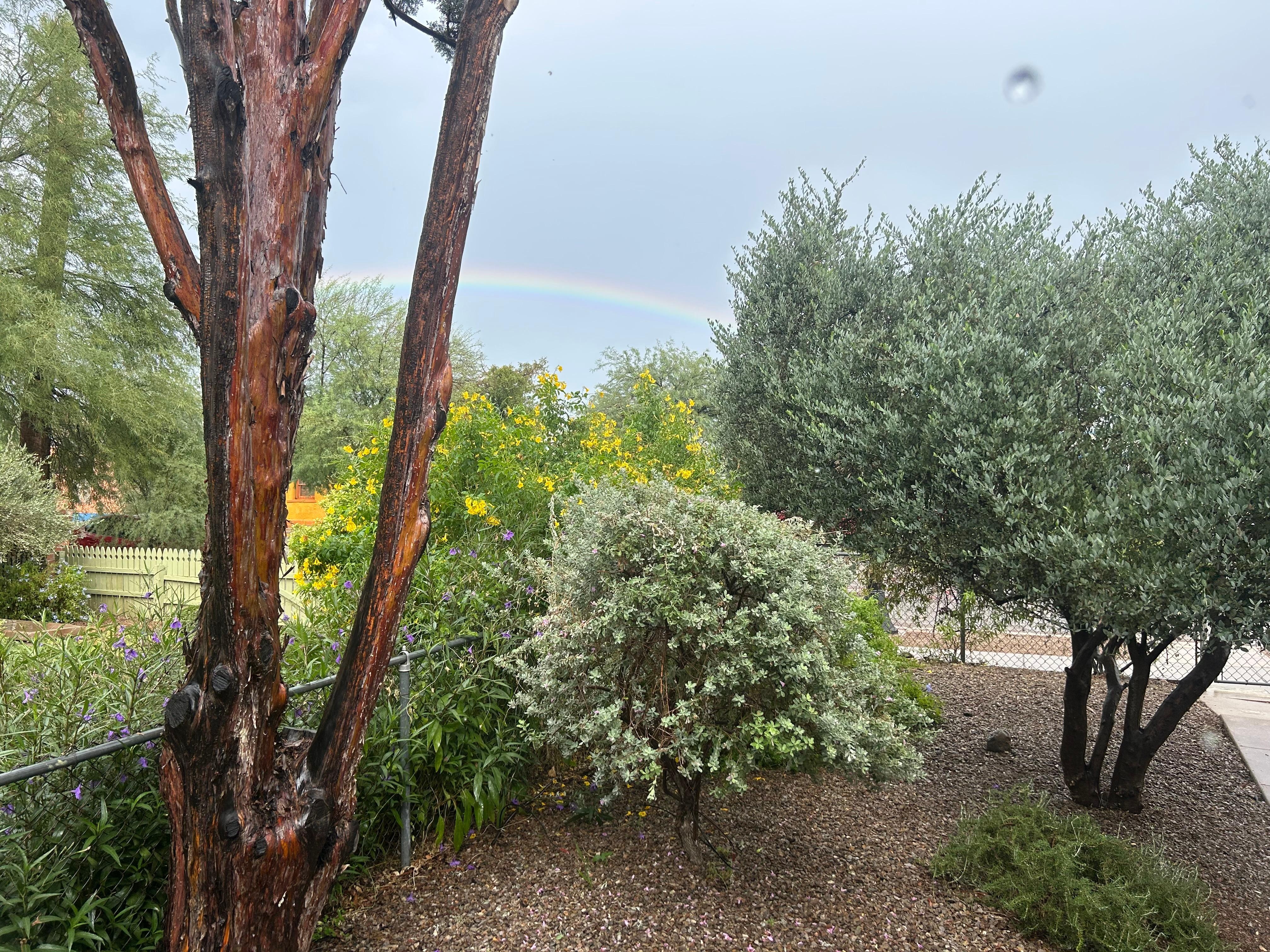 Front with a rainbow 🌈