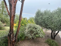 Front with a rainbow 🌈