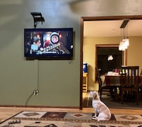 My dog enjoying watching Santa Claus!