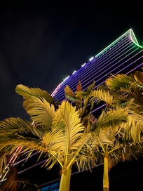 Standing in the garden