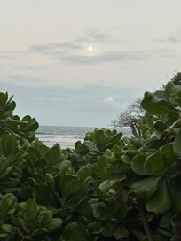 Full moon from the deck (picture doesn’t do it justice)