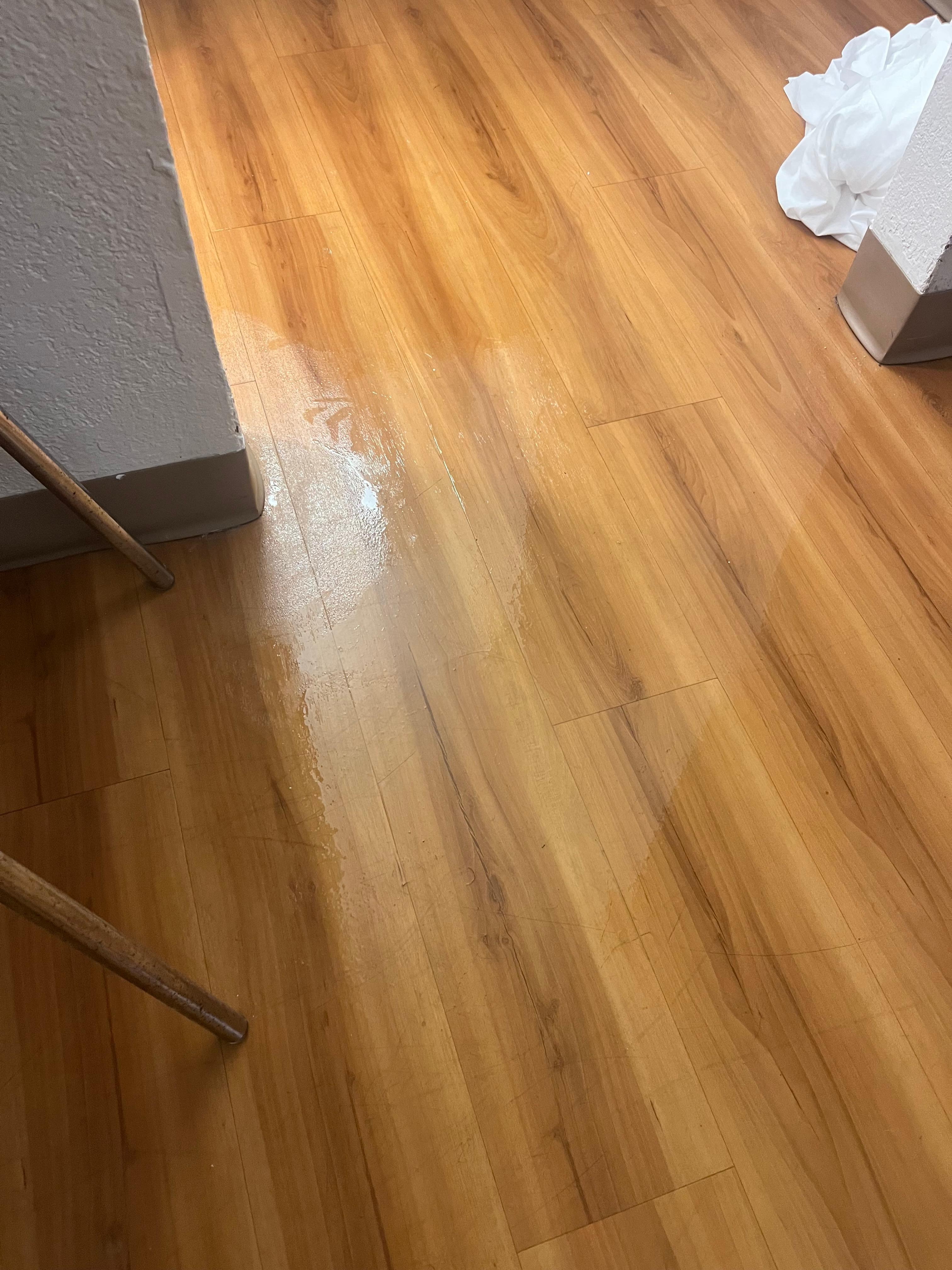 Wet floor